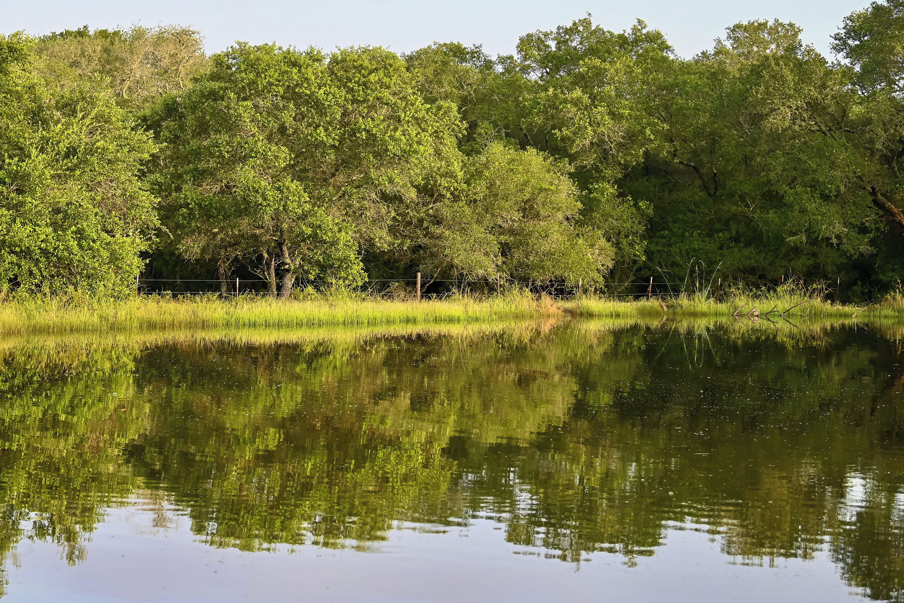 A calm lake with dense trees reflecting on the water's surface.