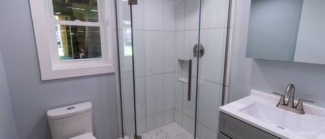 A modern bathroom with a glass-enclosed shower, a white toilet, and a sink with a mirror above.