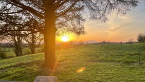 A stone wall in a grassy field with a tree and a sunset in the background.