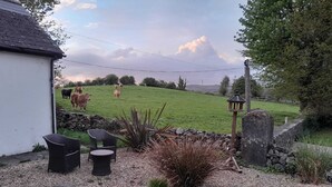 A rural outdoor area with a white building, a stone wall, and a grassy field with cows.