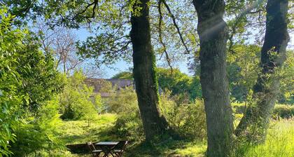 Belle longĂšre entre ocĂ©an, forĂȘts et riviĂšres, animaux bienvenus !