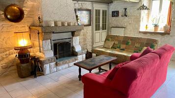 TV connectée, cheminée, lecteur de DVD, livres