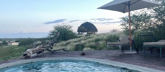 Unique lodge on the Boscia African Farm - nature, animals, freedom, healing