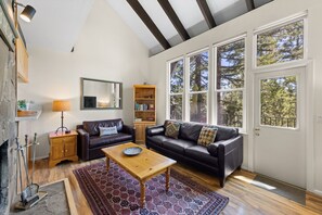 Smart TV, fireplace, books