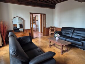 TV, fireplace, books