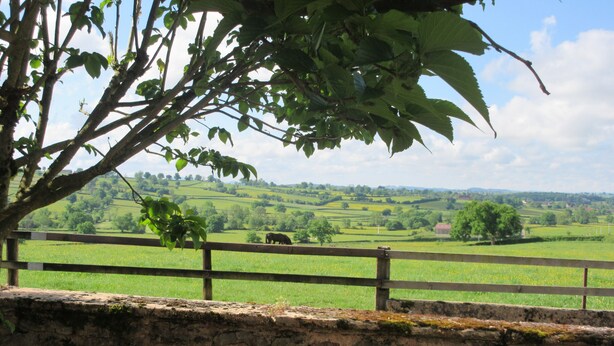 A stone wall with a wooden fence overlooking a green field with a tree in the foreground. - Charming house in the Charolais countryside overlooking the valley (VIRY)