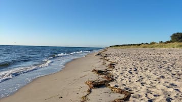 House | Beach