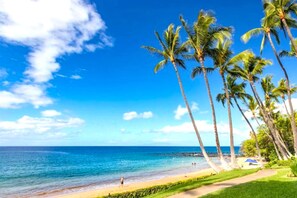 A beach with palm trees and a clear blue sky.