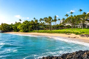 A beach with clear blue water, a sandy shore, and a row of palm trees.
