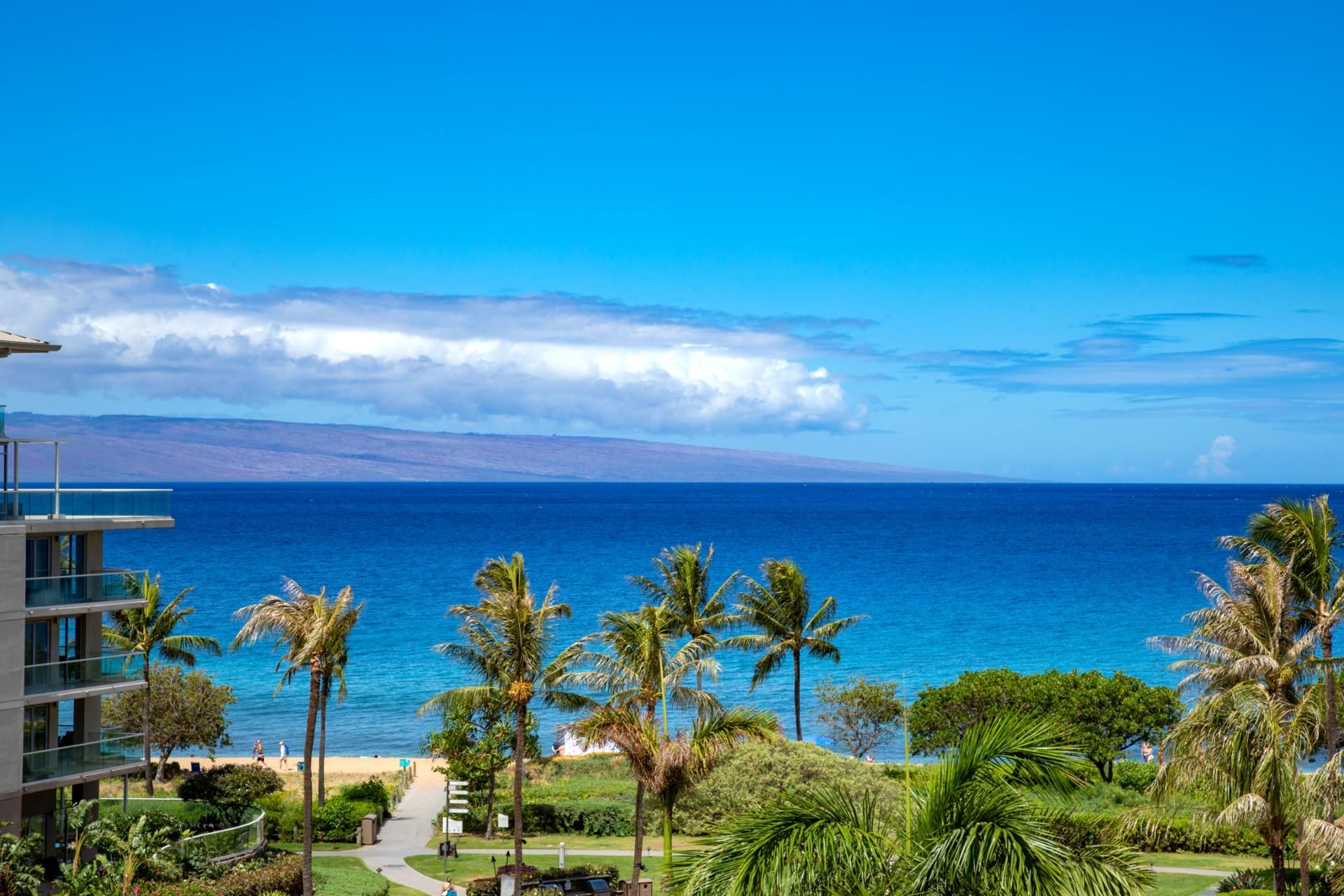Ein Resort mit Blick auf den Ozean, Palmen und einem Weg zum Strand.