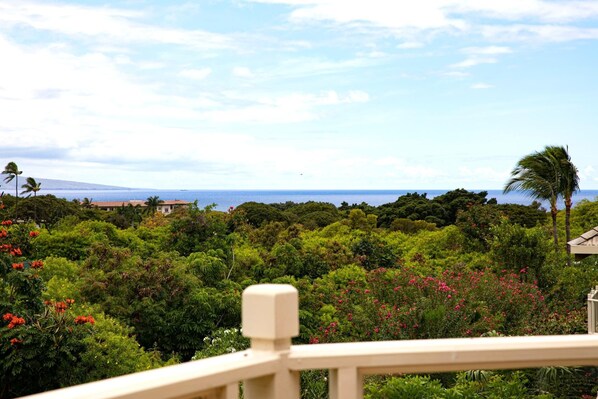 A lush garden with dense foliage and a view of the ocean.