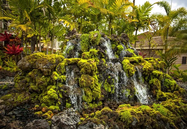 A waterfall with moss-covered rocks, surrounded by tropical plants and palm trees.