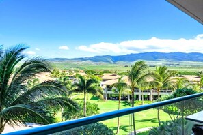 Terrain de lâhĂ©bergement