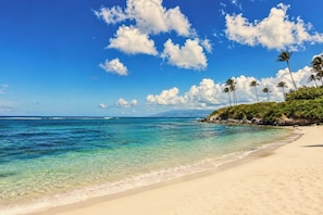 A beach with clear turquoise water, a sandy shore, and palm trees.