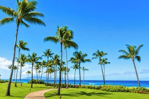 A pathway leading to a beach with palm trees and a clear view of the ocean.