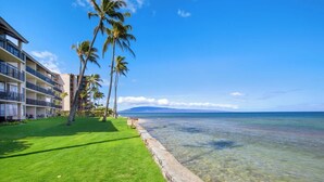 A beachfront hotel with a grassy lawn, palm trees, and a clear view of the ocean. - Papakea | Ocean View 6 BR, Sleeps 16 | Car Incl. w/ 6+ Nights | PKC ML-1169 by KBM (Lahaina)