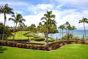 Unclassified image, 4 of 11, button