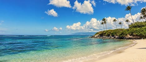 A beach with clear turquoise water, a sandy shore, and palm trees.
