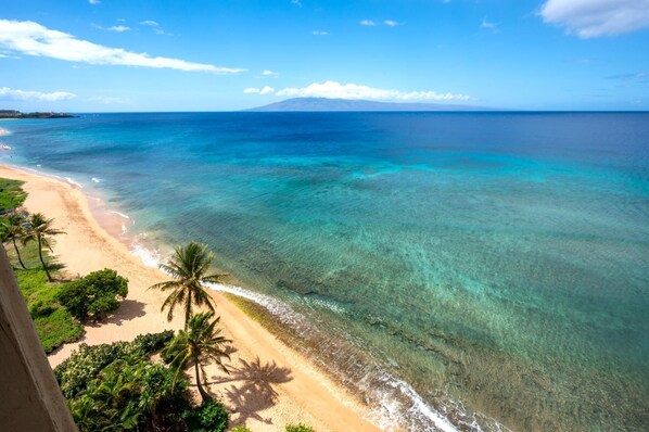 A beach with clear turquoise water, palm trees, and a distant mountain.