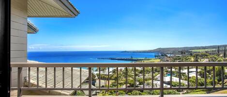 Terrain de lâhĂ©bergement