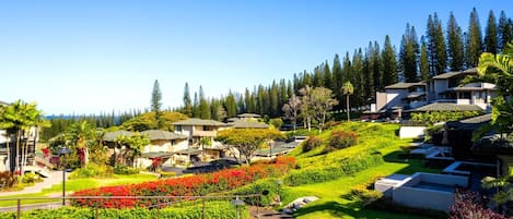 Jardines del alojamiento