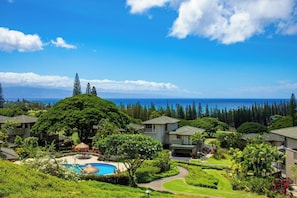 A residential area with houses, a swimming pool, and a view of the ocean.