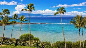 A tropical beach with clear blue water, palm trees, and a view of the ocean.