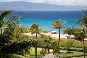 A beach with palm trees, a clear blue sea, and distant mountains.