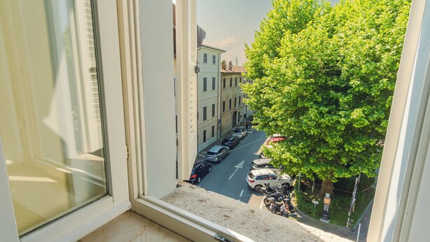 Vista desde una ventana sobre una calle con coches aparcados y un árbol.