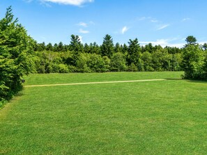 A grassy field with a dirt path leading through it, surrounded by dense trees. - 4 Person Holiday Home in Hampen (Hampen)