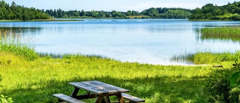 A picnic table by a calm lake with a forested shoreline.