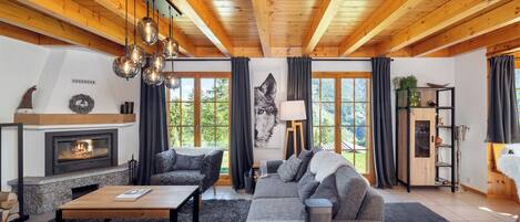 Smart TV, chimenea, reproductor de DVD y libros