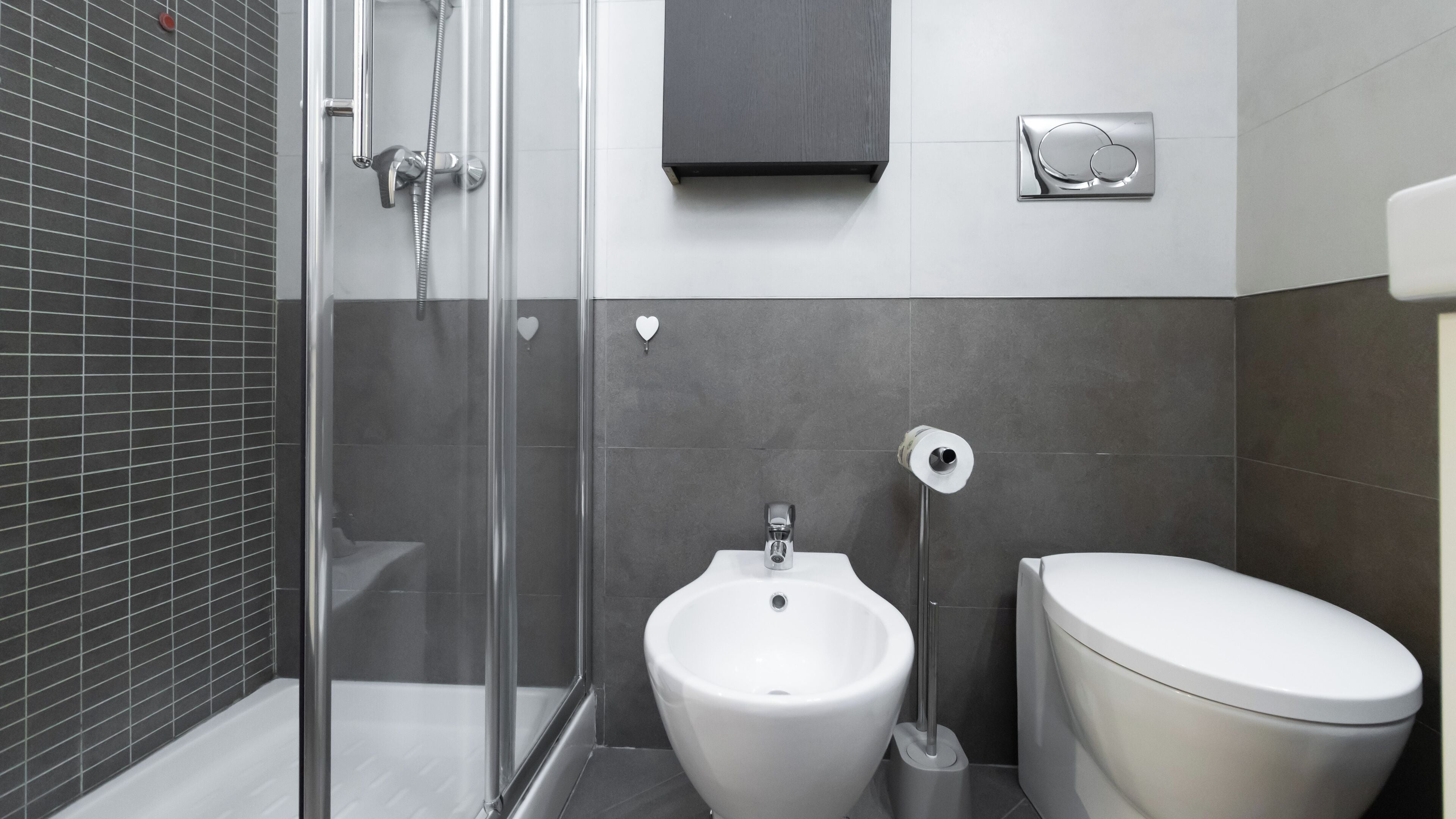 Shower, hair dryer, bidet, towels