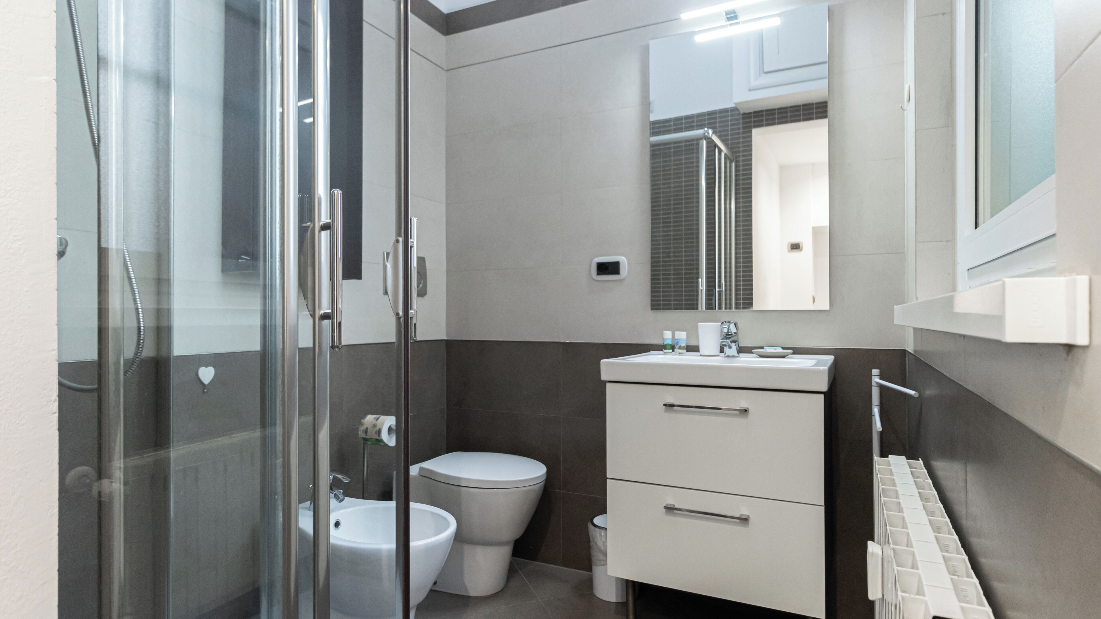 Shower, hair dryer, bidet, towels