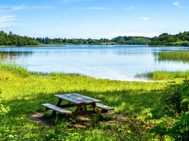 Uma mesa de piquenique perto de um lago calmo com margem arborizada.