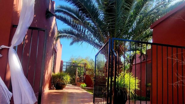 A narrow pathway flanked by red buildings, a palm tree, and a white cloth draped over a structure.