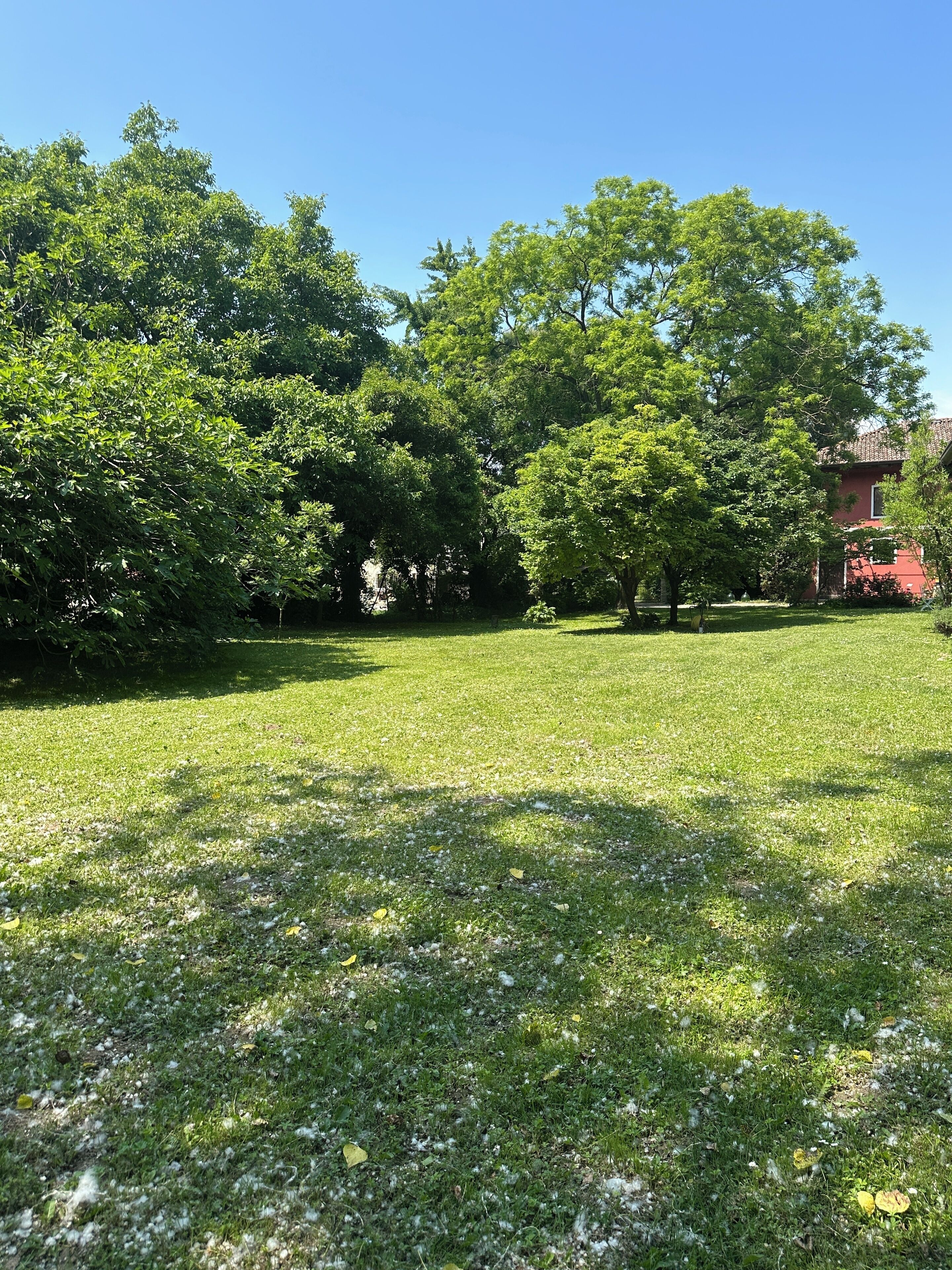 A grassy area with trees and a building in the background.