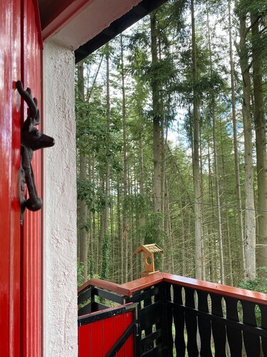 Charming Cottage, fully equipped on private road/hiking trail in mature forest.