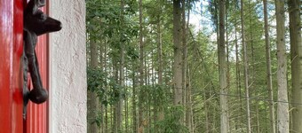 Charming Cottage, fully equipped on private road/hiking trail in mature forest.