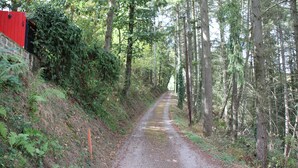 Ein schmaler Waldweg, gesäumt von hohen Bäumen, mit einem roten Gebäude auf der linken Seite.