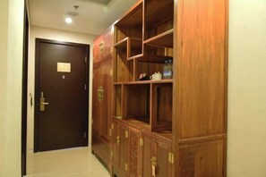 Traditional storage space with a mounted wardrobe and closed door.