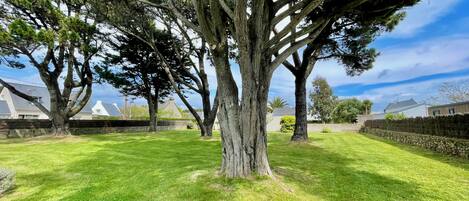 Área da propriedade