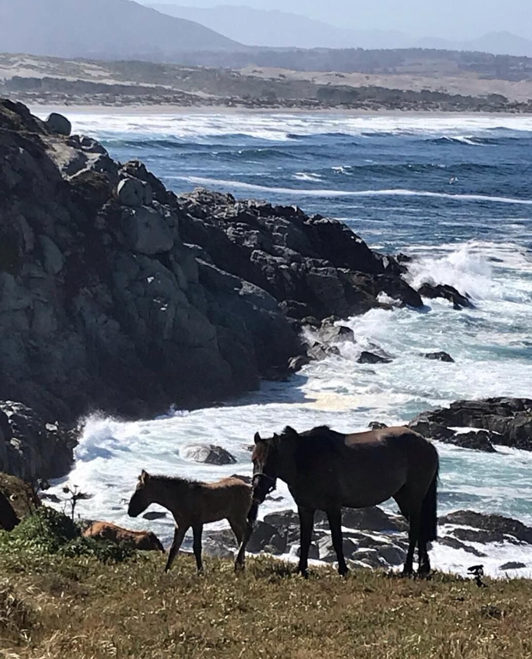 A coastal scene with a rocky shoreline and waves crashing against the rocks.