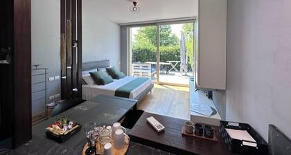 Deluxe apartment the Chestnut