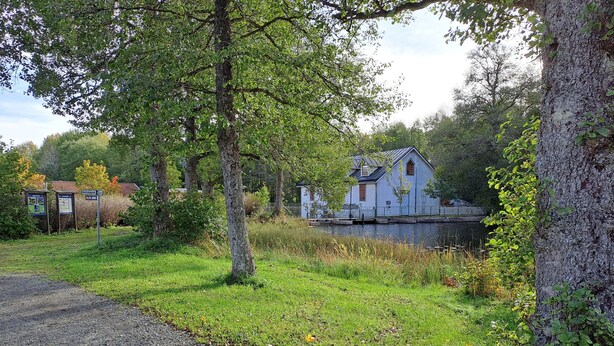 En enkel stuga vid en sjö, med en grusgång som leder fram till den, omgiven av träd och grönska.