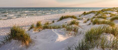 하우스 | 수변 전망