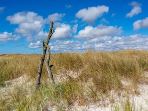 House | Miscellaneous