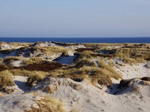 独立别墅 | 水景
