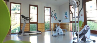 Apartment in Alsace With Heated Pool & Sauna