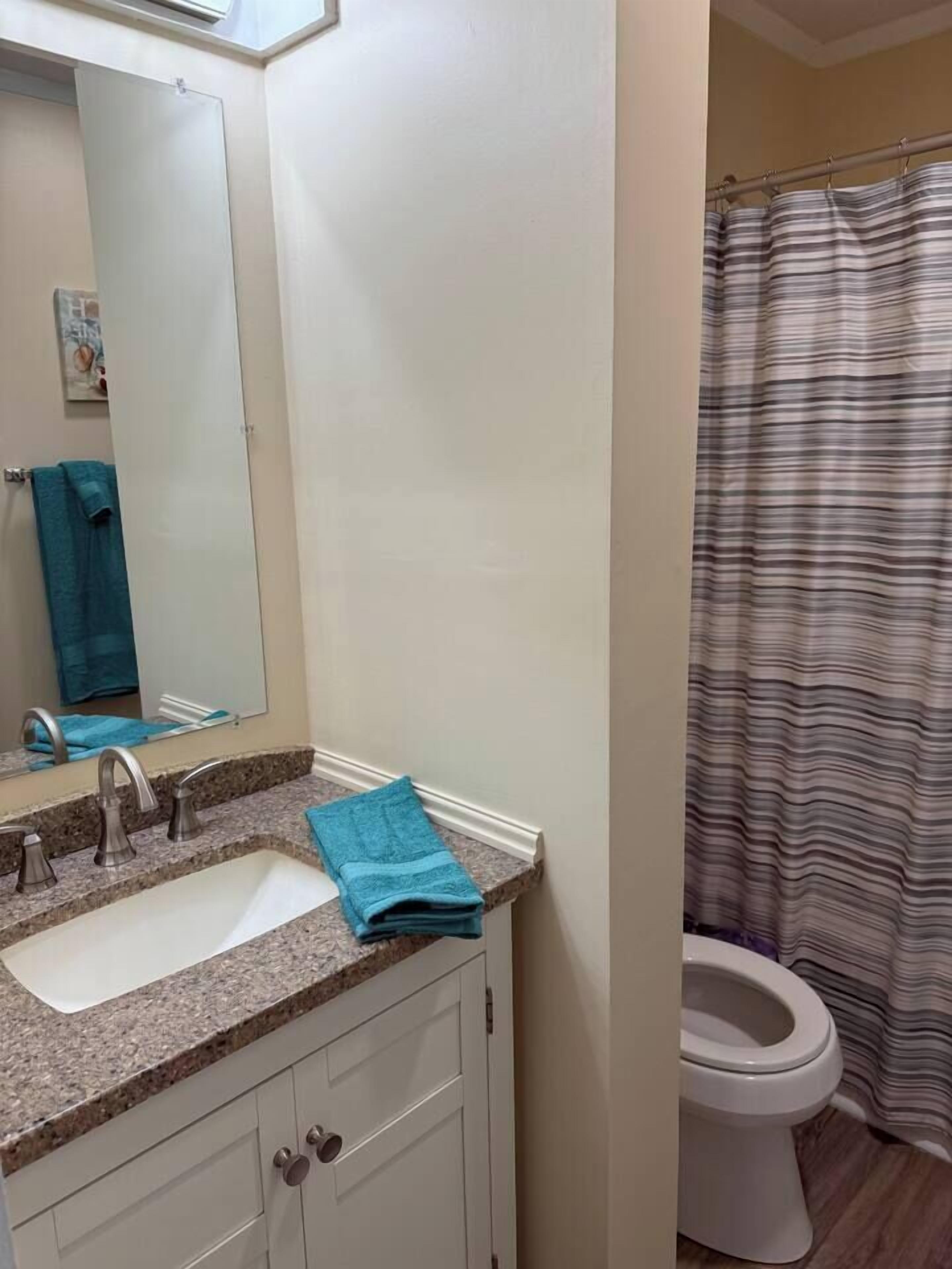 Un bagno con lavandino, specchio e WC.